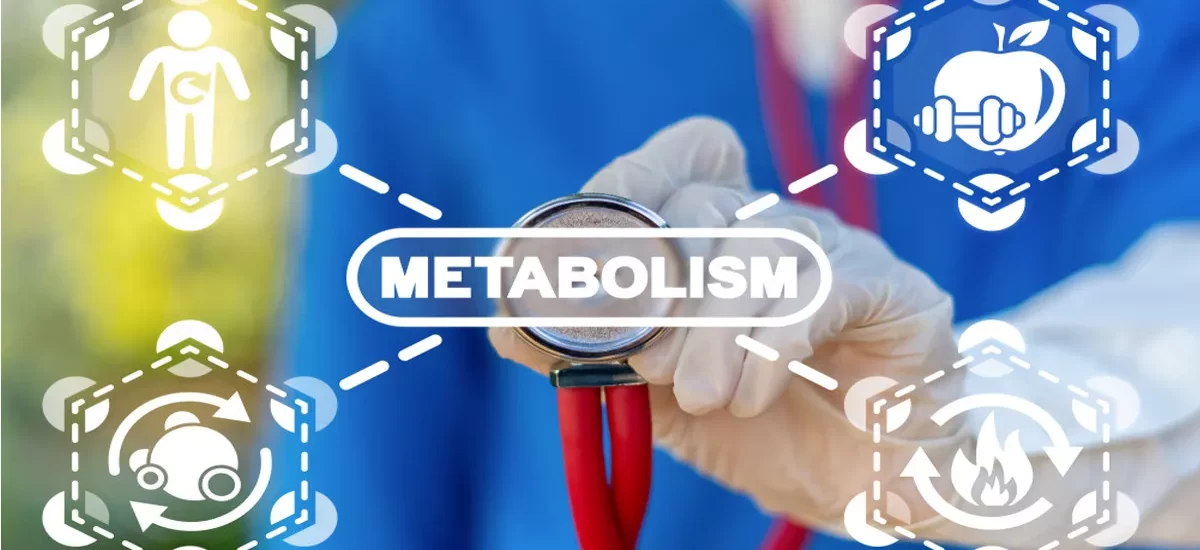 Zat apa yang Membantu Meningkatkan Metabolisme