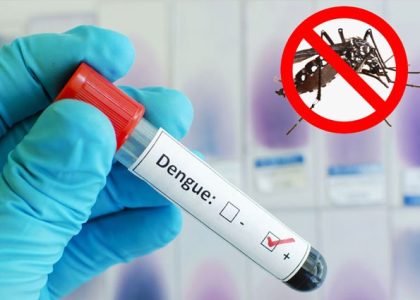 Demam-Berdarah-Dengue-